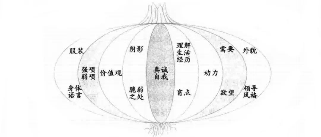 自我觉察：领导力提升的起点，自我实现的基础