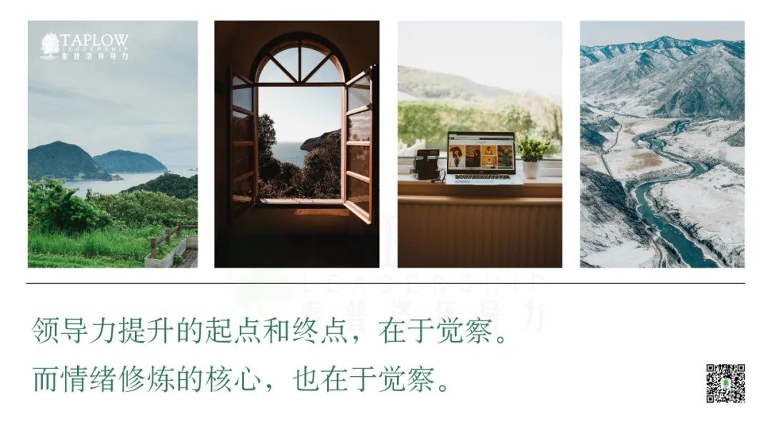 领导者的情绪智慧修炼：从觉察到转化