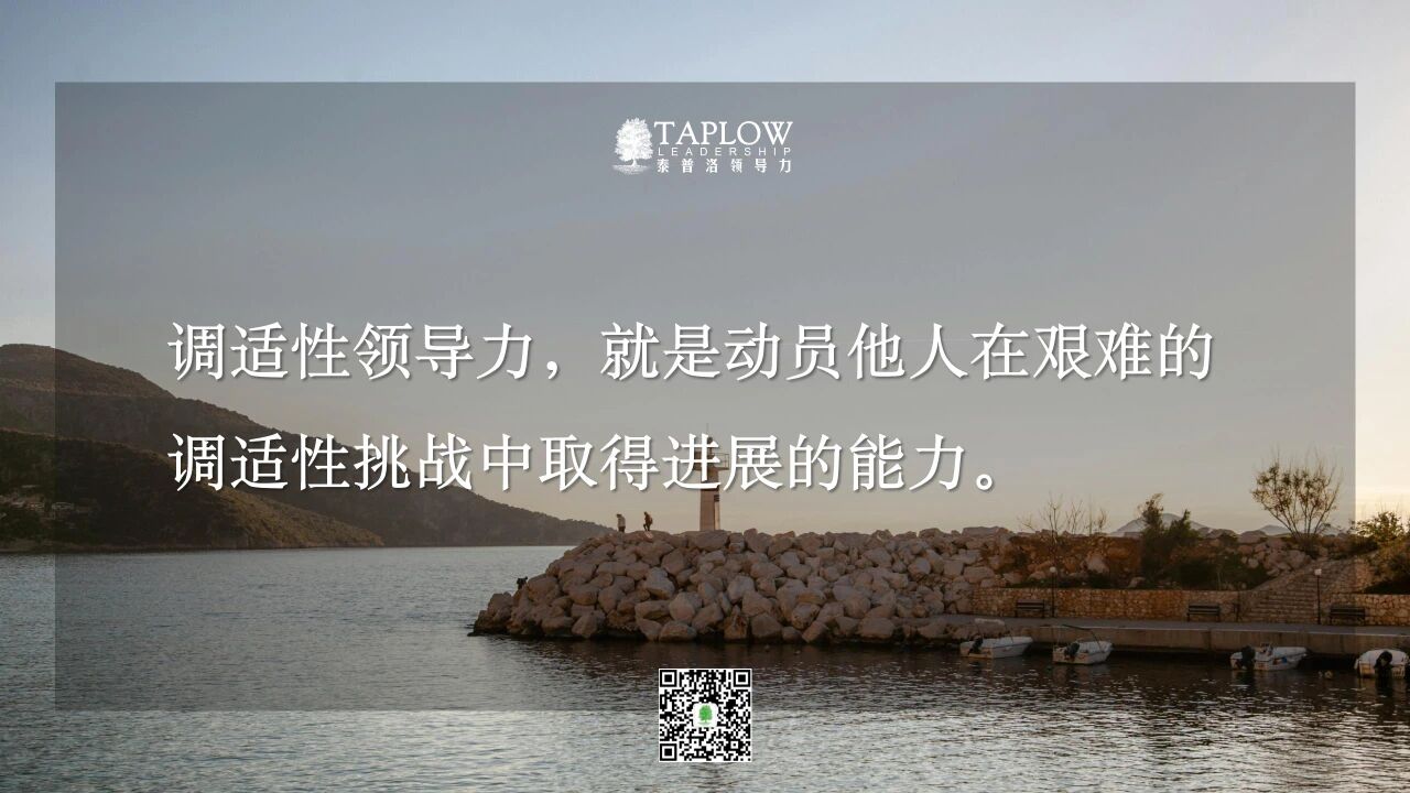 调适性领导力：对认知、心智和勇气的考验