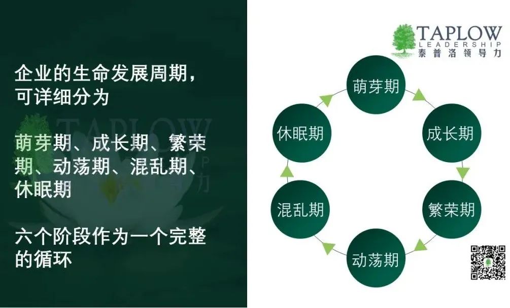 国庆合集 | 领导者心智升级指南：反求诸己 内在升维