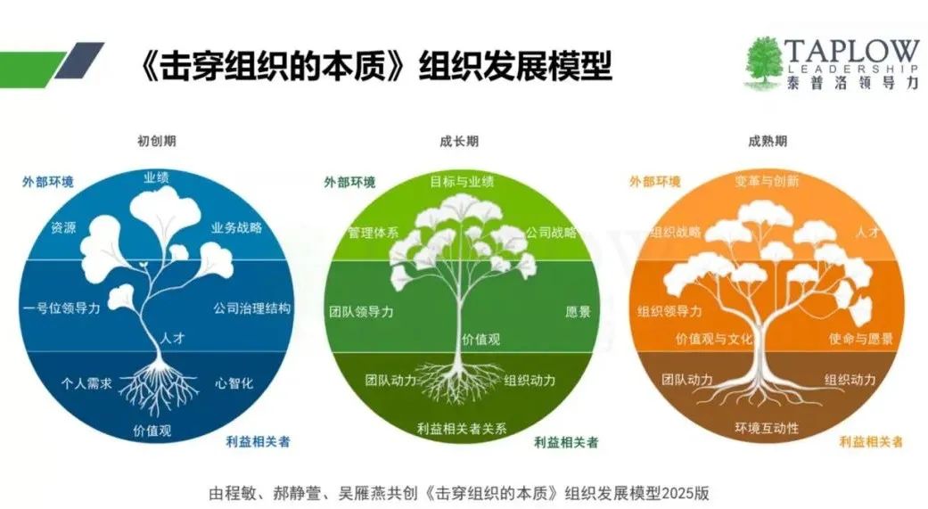 国庆合集 | 领导者心智升级指南：反求诸己 内在升维