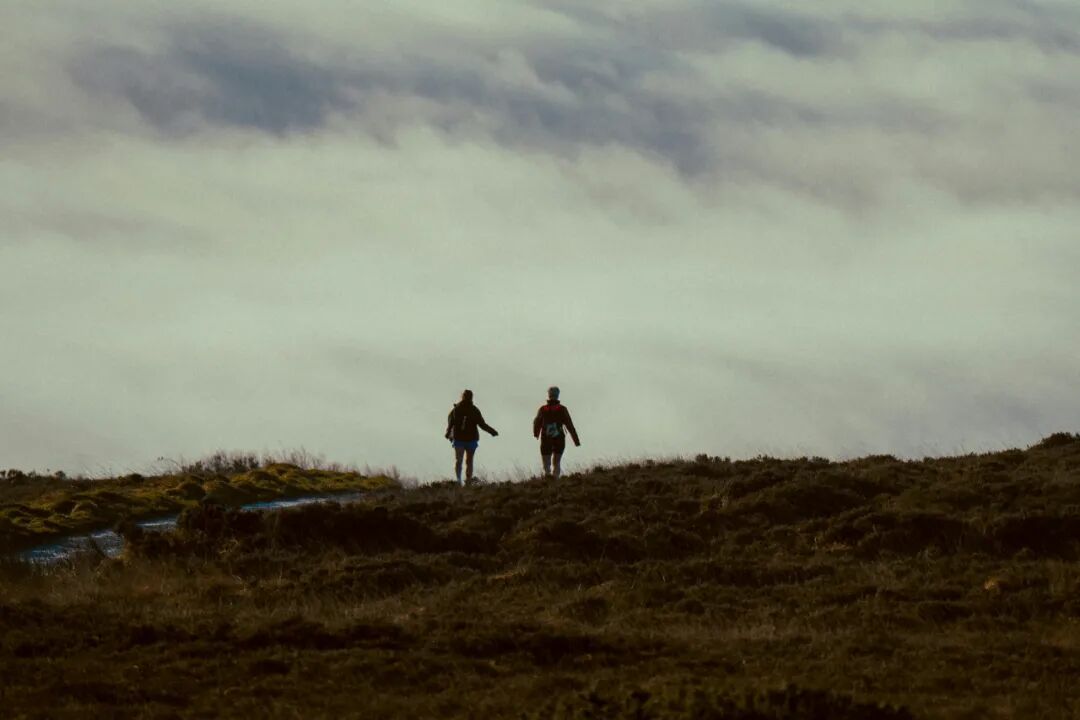 觉醒于此：用「当下的力量」终结精神内耗