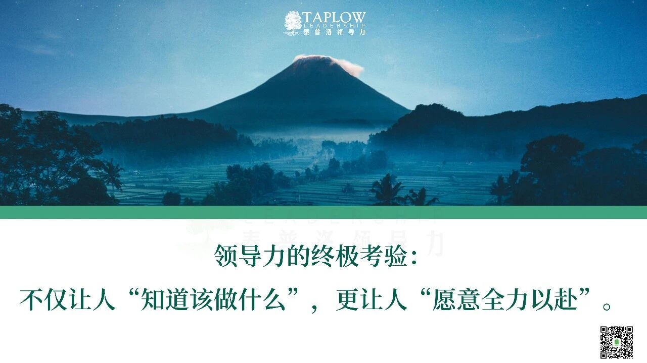 激活团队，心脑同频：真正的领导力，是让人向往无边的大海