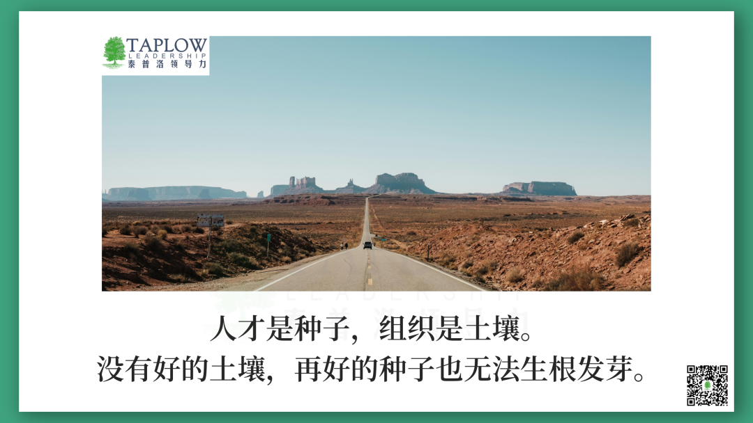 执行力是一面镜子：一把手的“三重修炼”，照见组织真相
