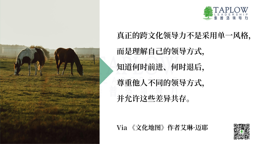 优秀≠适配：识别跨文化领导潜质的三个关键